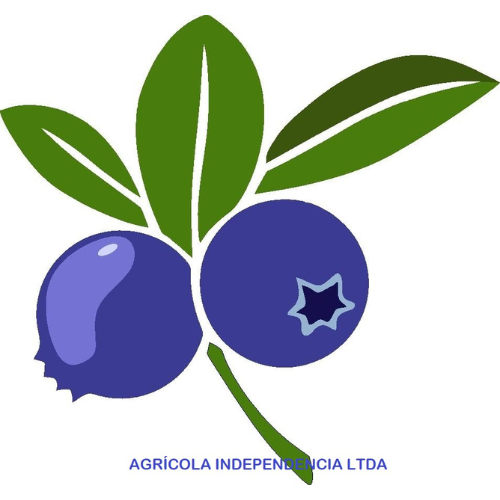 Agrícola Independencia