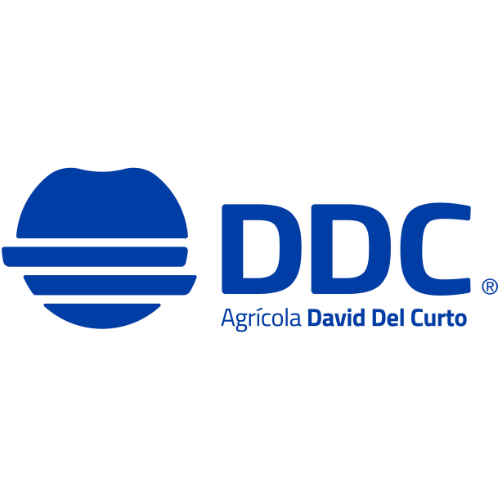 David del Curto