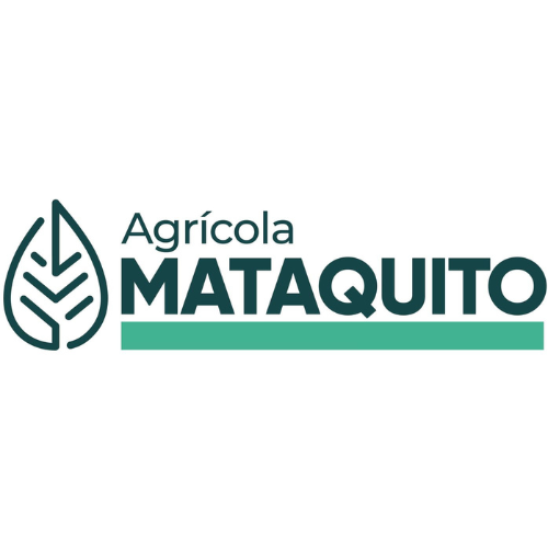 Mataquito