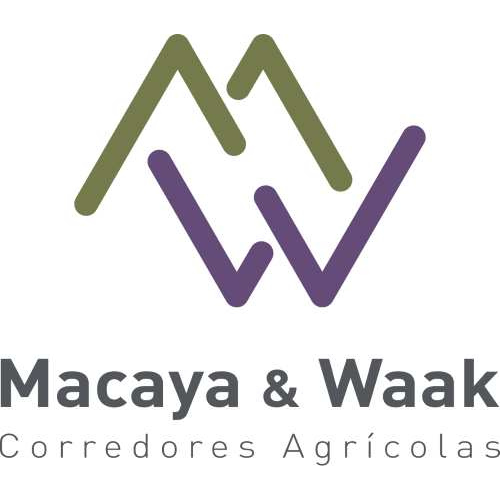 Macaya y Waak