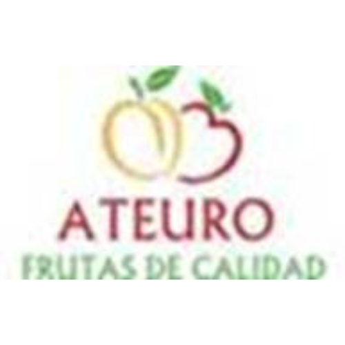 Logo Ateuro